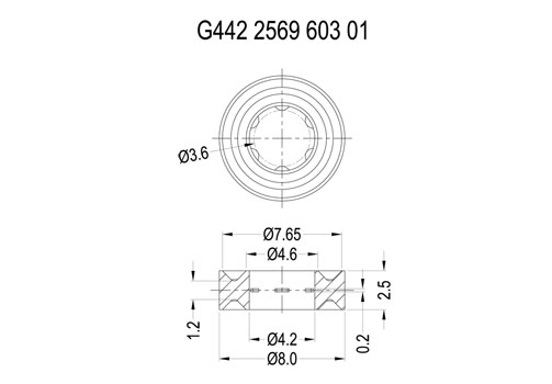 G442 2569 603 01 2D 503X350.jpg